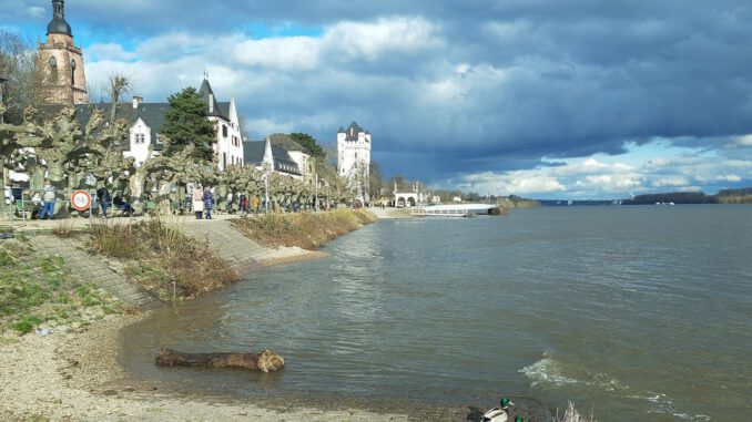 Eltville erneuert historisches Rheinufergeländer und bringt Denkmal und Sicherheit in Einklang Eltville erneuert historisches Rheinufergeländer und bringt Denkmal und Sicherheit in Einklang