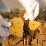 Festungsführung in Rüsselsheim zeigt archäologische Funde zu Landsknechten