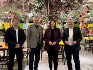 Frühlingsmarkt in Langgasse weckt Leben im ehemaligen SportScheck-Gebäude