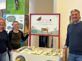 Infotrail der Universität bringt Insektenvielfalt in die Mainzer Innenstadt