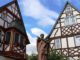 Kopf der Nepomuk-Statue in Erbach nach Vandalismus wieder befestigt
