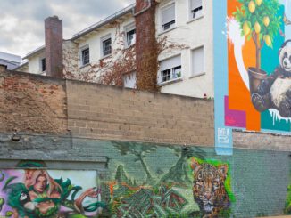Temporärer Stadtgarten in Rüsselsheim entsteht auf ehemaliger Brandstelle
