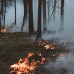 Waldbrandwarnstufe 4: Grillverbot auf allen öffentlichen Grillplätzen und verschärfte Auflagen für Veranstaltungen