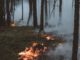 Waldbrandwarnstufe 4: Grillverbot auf allen öffentlichen Grillplätzen und verschärfte Auflagen für Veranstaltungen