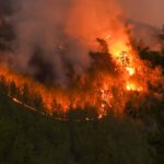 Wiesbaden erhöht Waldbrandwarnstufe auf fünf. Grillplätze bleiben ohne offenes Feuer