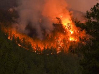 Wiesbaden erhöht Waldbrandwarnstufe auf fünf. Grillplätze bleiben ohne offenes Feuer