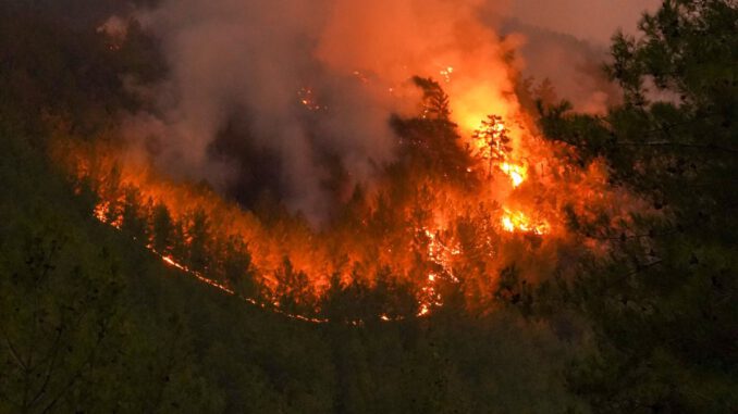 Wiesbaden erhöht Waldbrandwarnstufe auf fünf. Grillplätze bleiben ohne offenes Feuer Wiesbaden erhöht Waldbrandwarnstufe auf fünf. Grillplätze bleiben ohne offenes Feuer