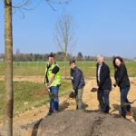 Zentralpark für Bierstadt Nord entsteht: Stadt pflanzt 83 Bäume