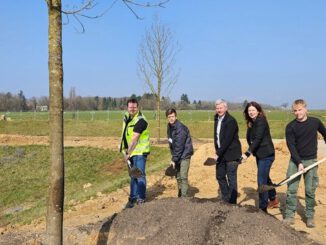 Zentralpark für Bierstadt Nord entsteht: Stadt pflanzt 83 Bäume