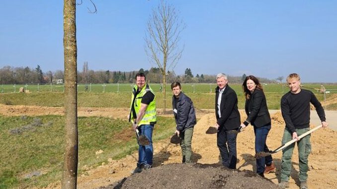 Zentralpark für Bierstadt Nord entsteht: Stadt pflanzt 83 Bäume